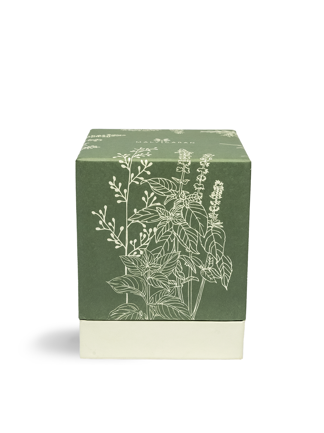 Kit Jardim Mágico de Ervas