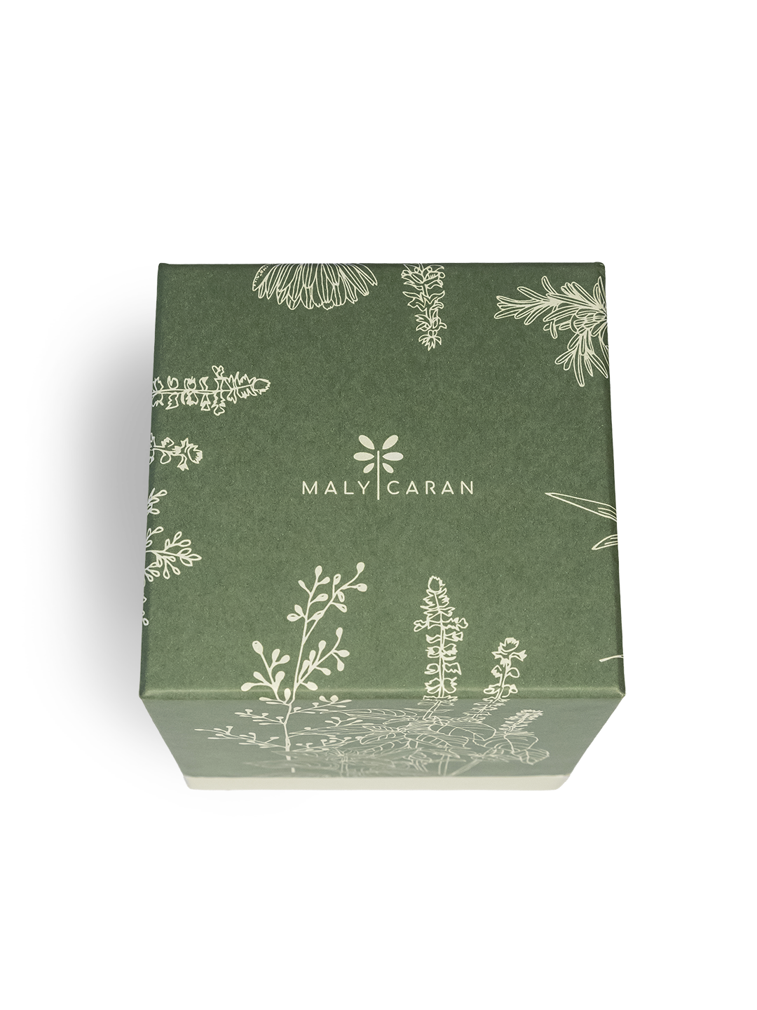 Kit Jardim Mágico de Ervas