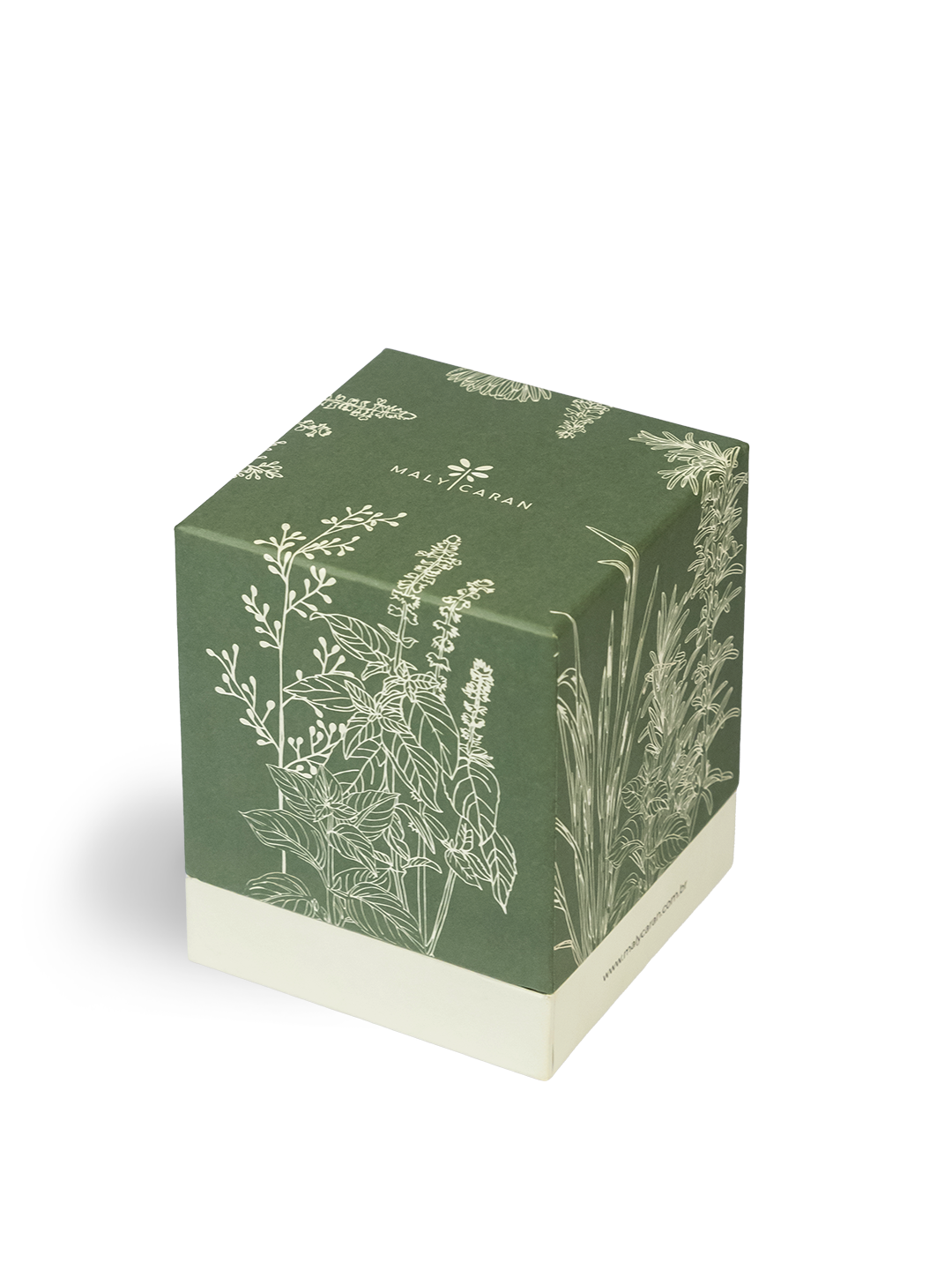 Kit Jardim Mágico de Ervas