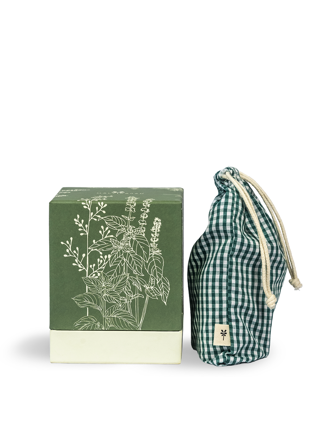 Kit Jardim Mágico de Ervas